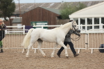 SBM_08492