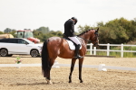 SBM_002629