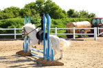 SBM_006731