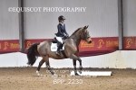 BPP_2230