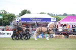 SBM_05618