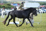 DSC04900