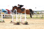 SBM_003564