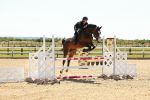 SBM_006730