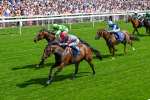 280625-Race 3-Squealer-0251