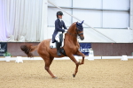 SBM_007235