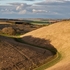 Wolds