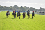 141023-Race 2-Whiskey Pete-0750