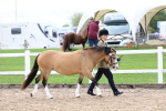 Class 17 - Prettiest Mare portfolio