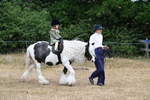 WJ7_6926