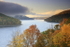 Kinzua Country
