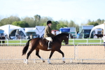 SBM_08741
