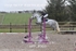 BPP_4969