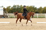 Class 69 - Novice 2 portfolio