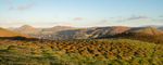 Church Stretton from Nils