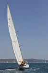 190629 SCEPTRE K17 D43A4447