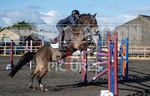 Senior Showjumping_10-11-2019-33