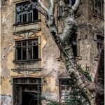 1 Old Hotel 