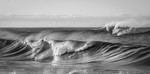 IMG_9999_12 v3 bw v2