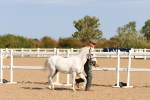 SBM_17674