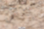 240706A-144625-03741