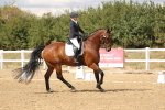 SBM_010529