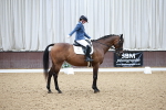SBM_002584