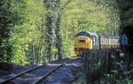 8th May 2005