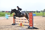 Clear Round and British Novice portfolio