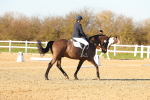 SBM_004604
