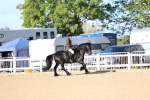 SBM_08942