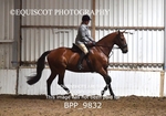 BPP_9832