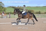 BPP_8246