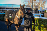 121225-Race 5-Can You Call-5978