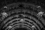 Winter Gardens 03