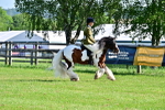 SBM_11617