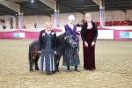 Class C - Novelty champ portfolio