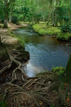 Ober Water