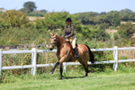 Threewaters RC Working Hunter and Showing Show 10.08.2025 portfolio
