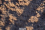 250125-100328-00889