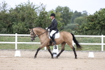 SBM_017446
