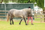 SBM_04086