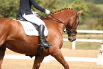 SBM_006319