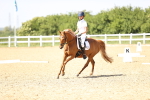 SBM_010085