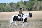 WJ7_6683