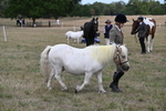 WJ6_6133