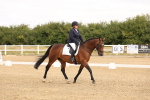 SBM_000233