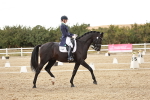 SBM_006901