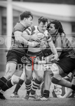 Raiders v Blackheath Rugby Club 2023-58