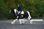 WJ5_8706